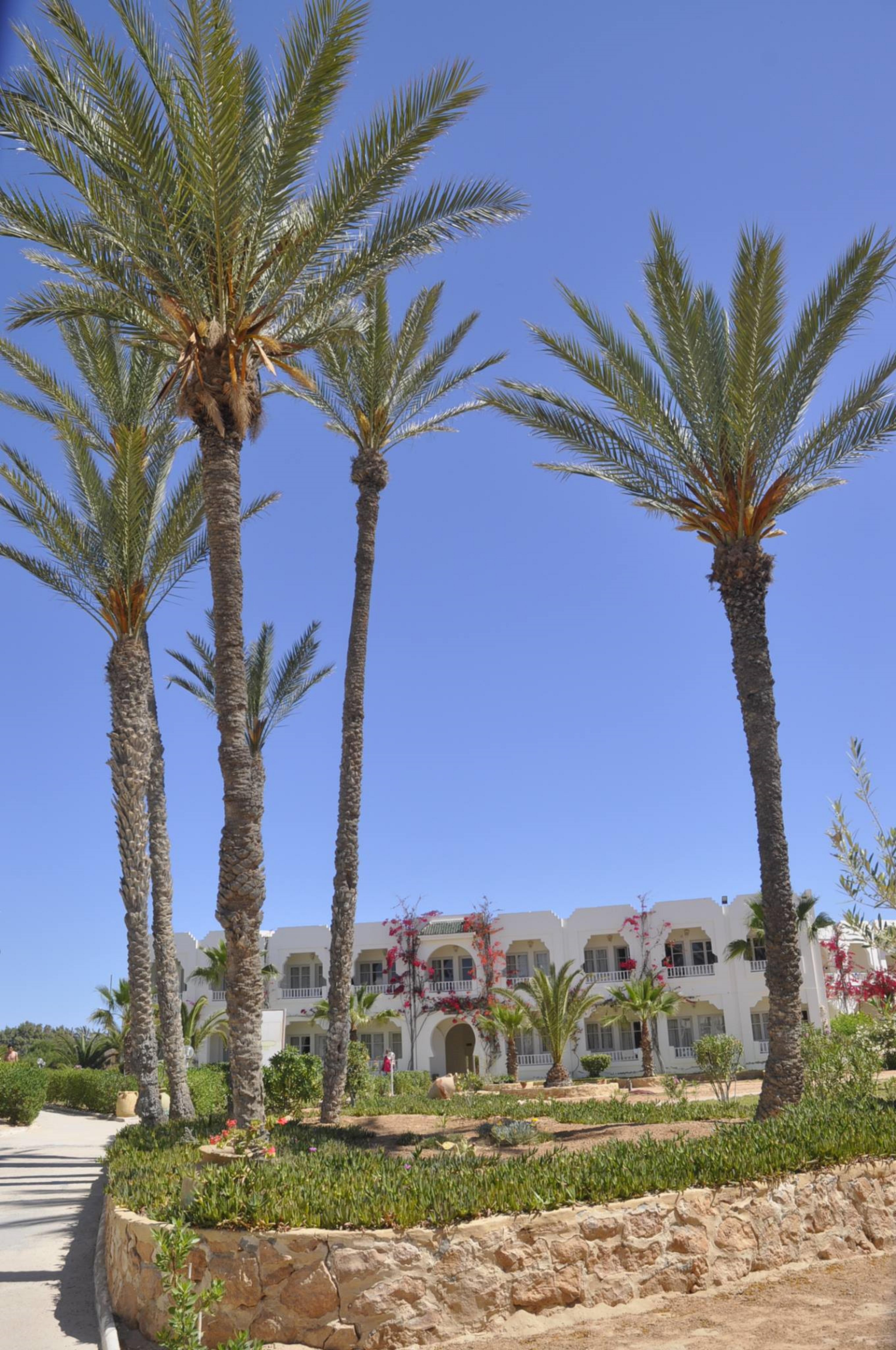 Jerba Sun Club Hotel Mezraia Exterior foto